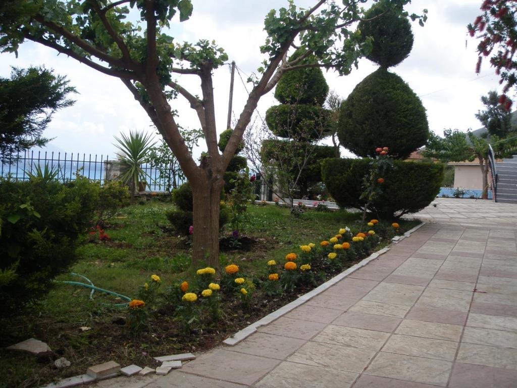 Katerina Lefkada Aparthotel Βασιλική Εξωτερικό φωτογραφία